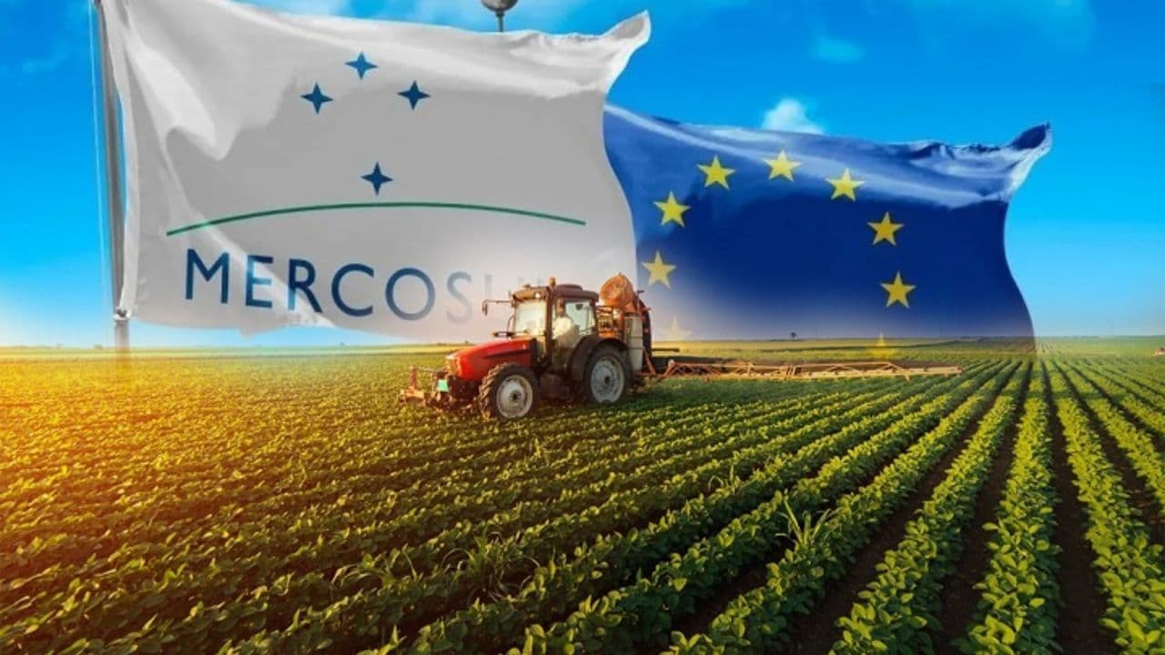 The EU–Mercosur Deal: Twenty-Five Years in the Making